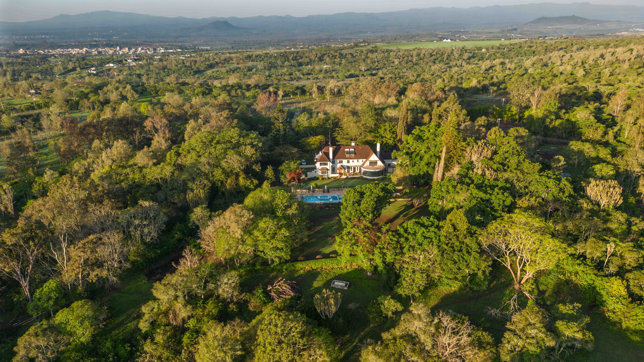 DJI_0273.jpg