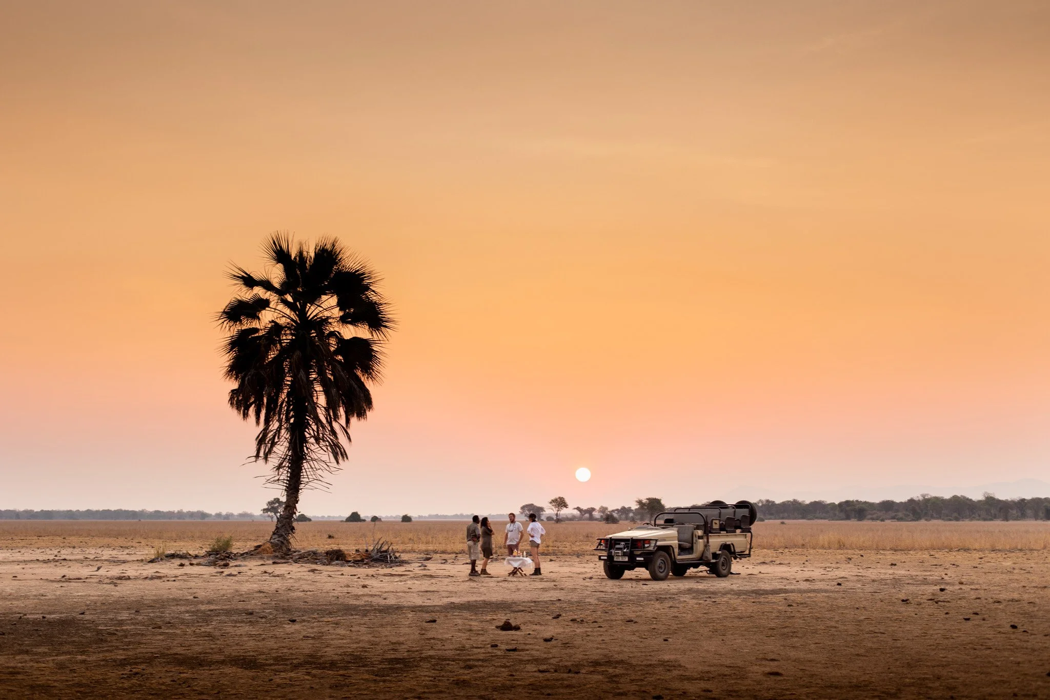 Wild Beginnings Travel