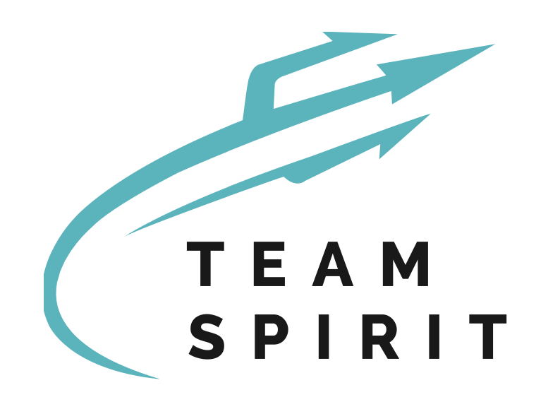Logo with a stylized blue arrow and the words "TEAM SPIRIT" underneath.