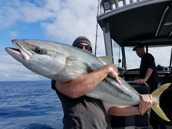 epic_kingfish-1.jpg