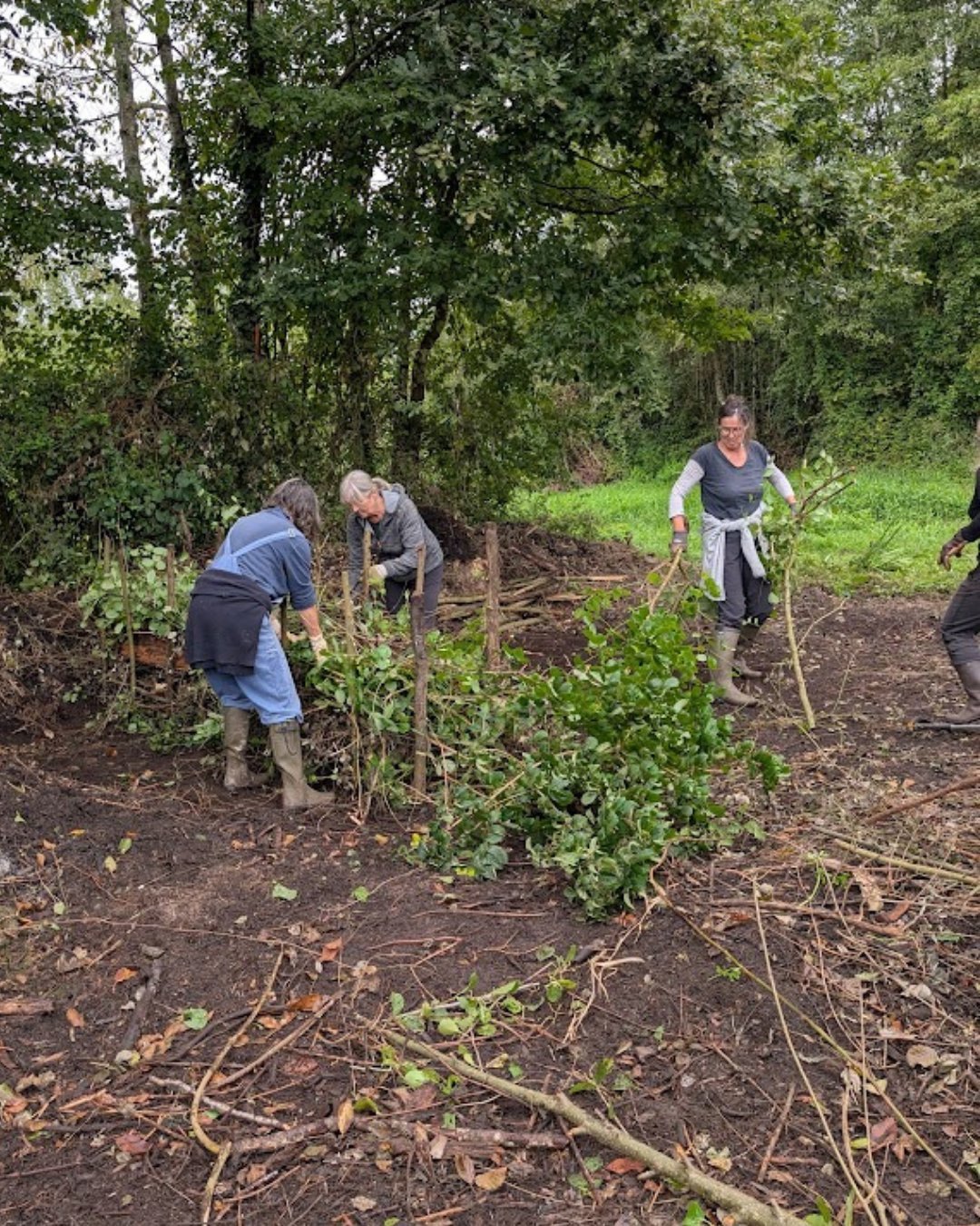 🍂 F&ecirc;te du sol vivant 🍂&ndash; Installation de haies s&egrave;ches 

Cela faisait un moment que nous y pensions, et la F&ecirc;te du sol vivant a &eacute;t&eacute; l&rsquo;occasion parfaite pour nous lancer !

Depuis 5 ans que nous occupons no