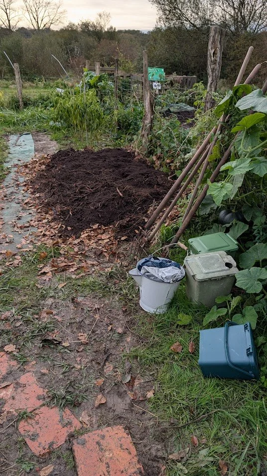 Des engrais verts et des lasagnes pour un sol vivant 