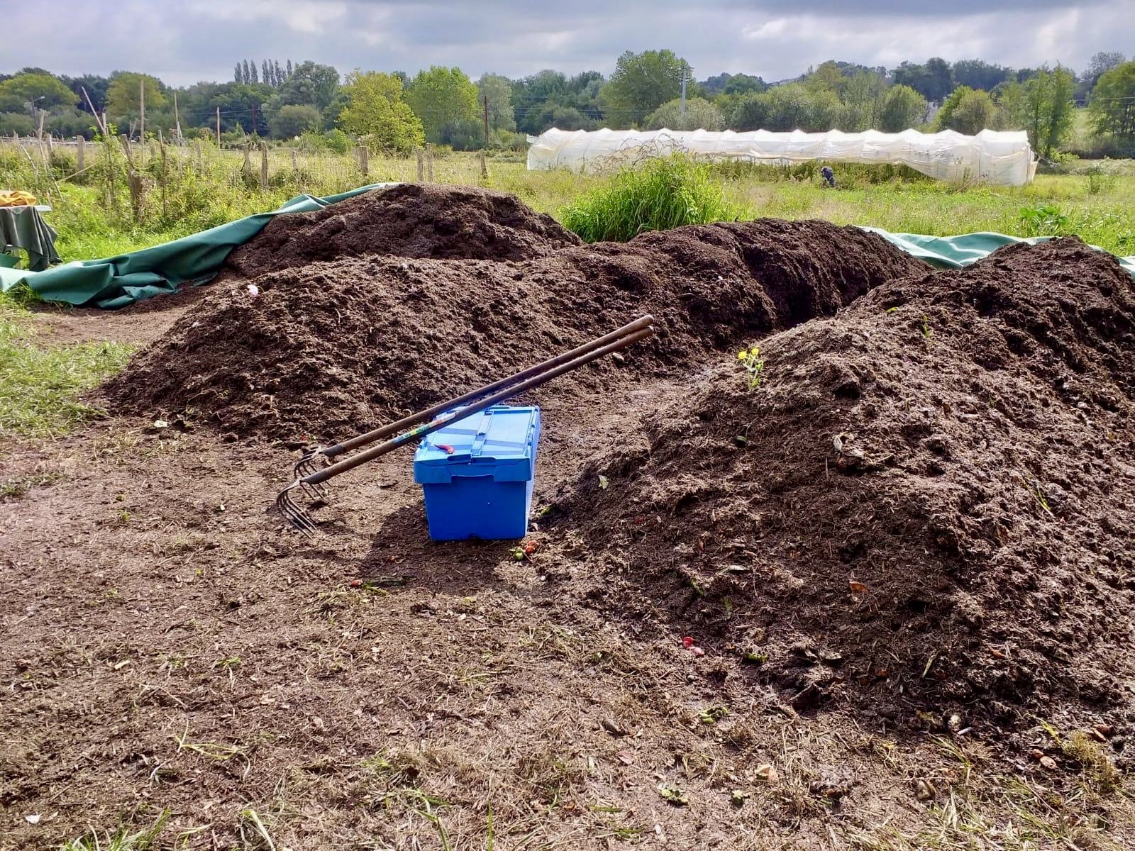 Compost de déchets alimentaires et compost de déchets verts : comprendre la différence !