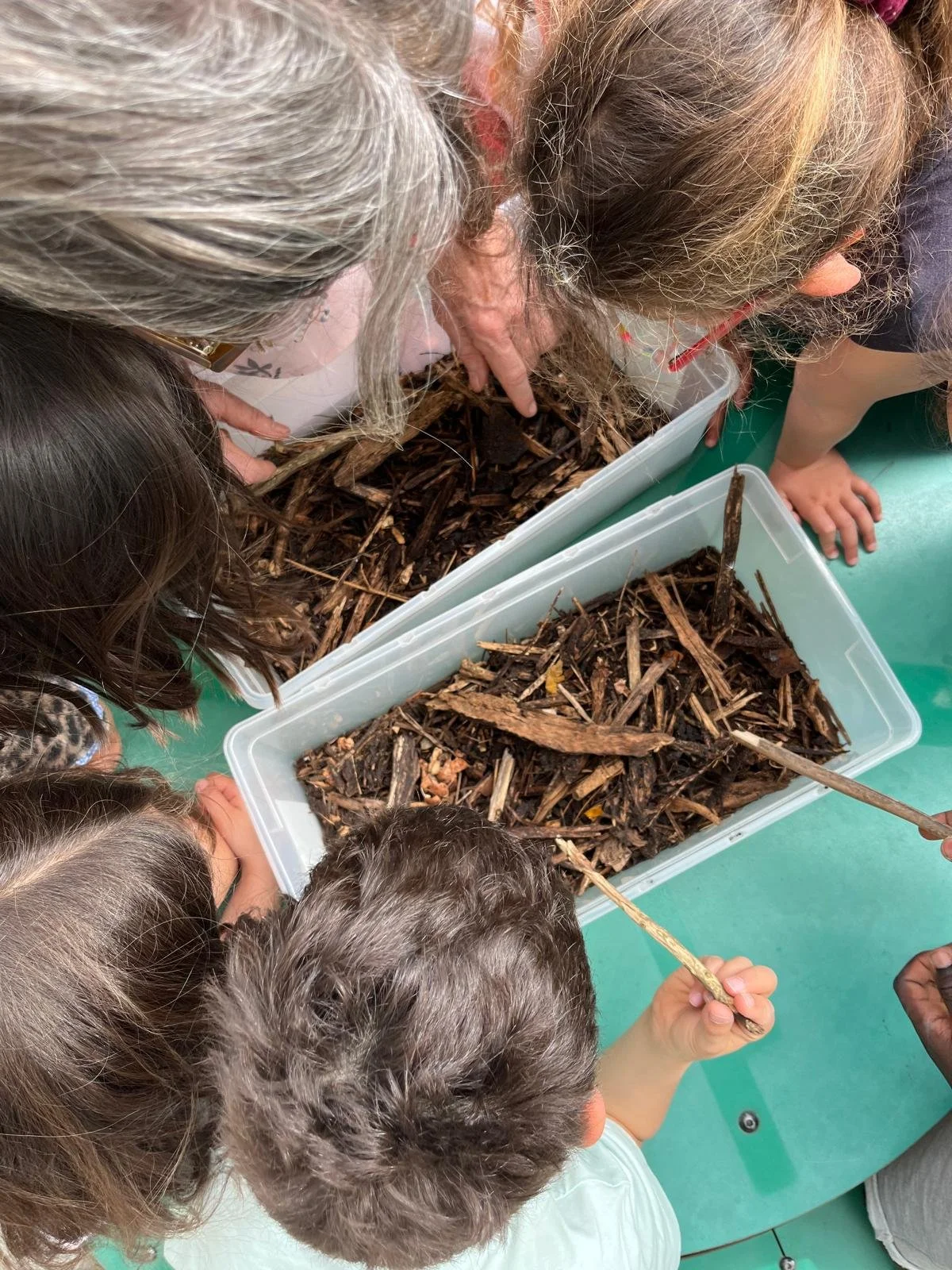 Tous au compost 2026 - Sensibilisation compost -2.jpeg