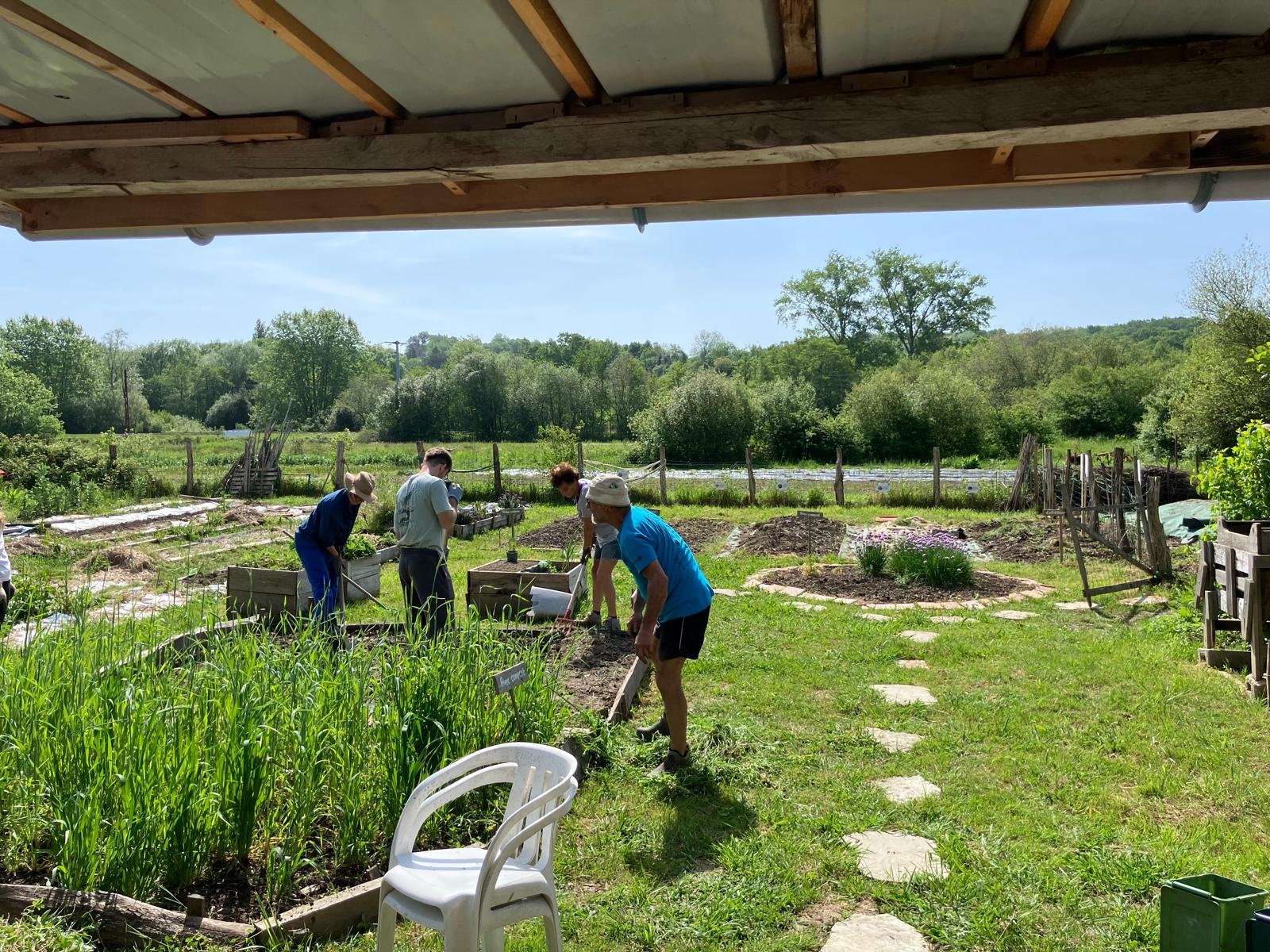 Couverts hivernaux : des nouvelles de notre jardin expérimental