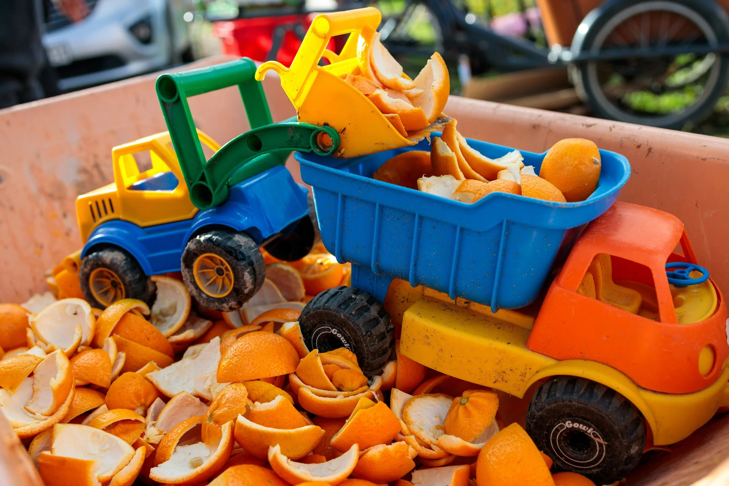 Des peaux d'orange découpées sont rassemblée dans un bac avec des jouets pour enfants en forme de camion.