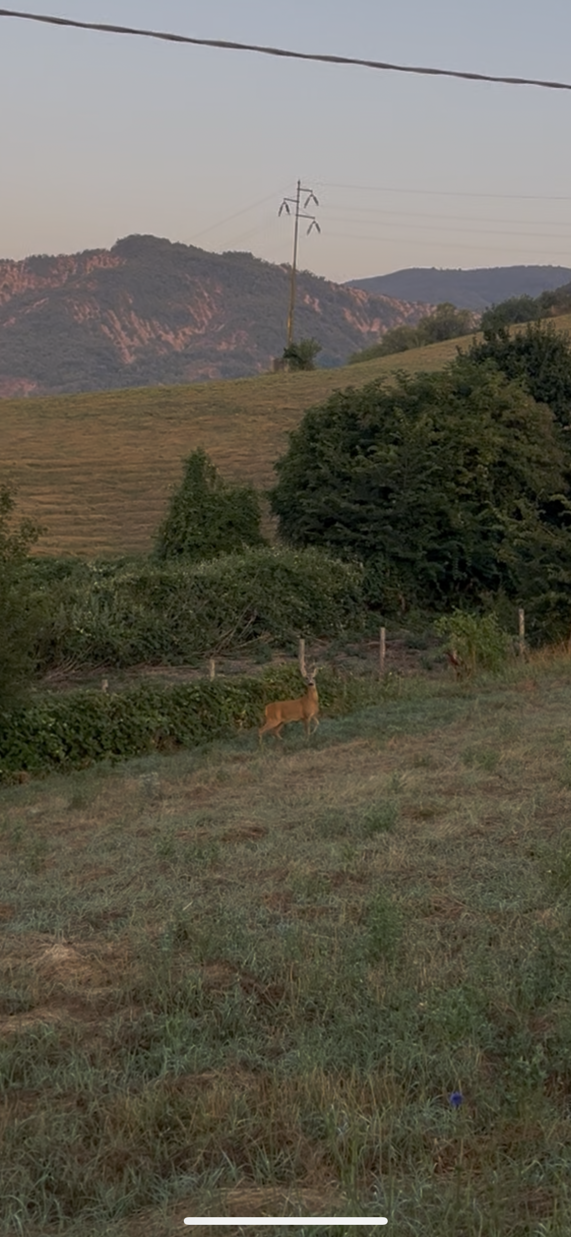 view on the rolling hills at retreat center.PNG