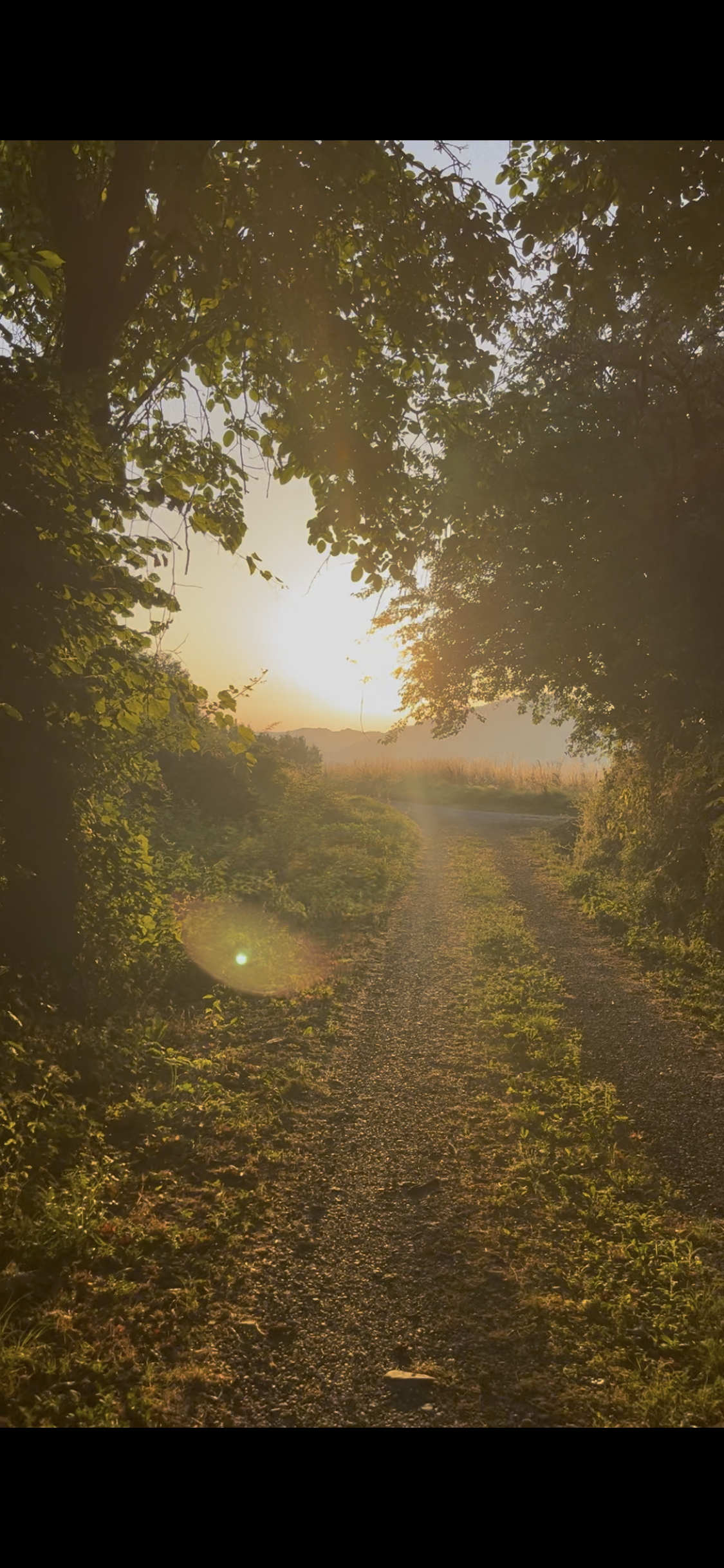 view on the rolling hills at retreat center.PNG