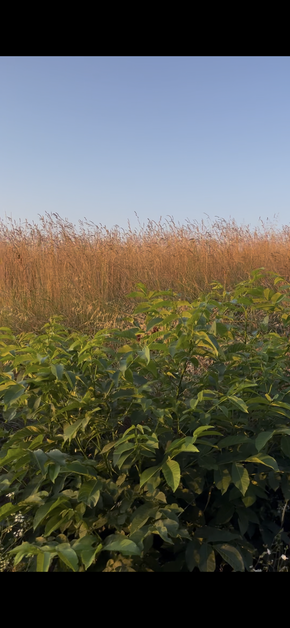 view on the rolling hills at retreat center.PNG