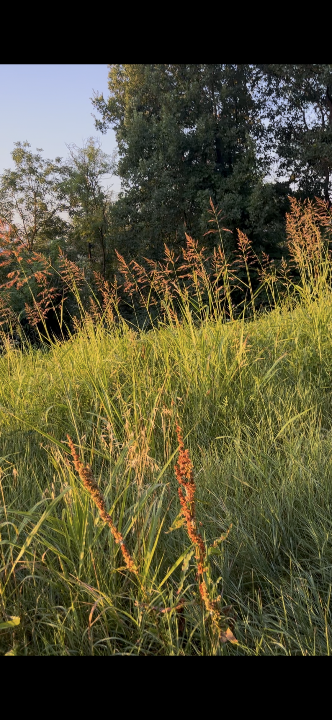 view on the rolling hills at retreat center.PNG
