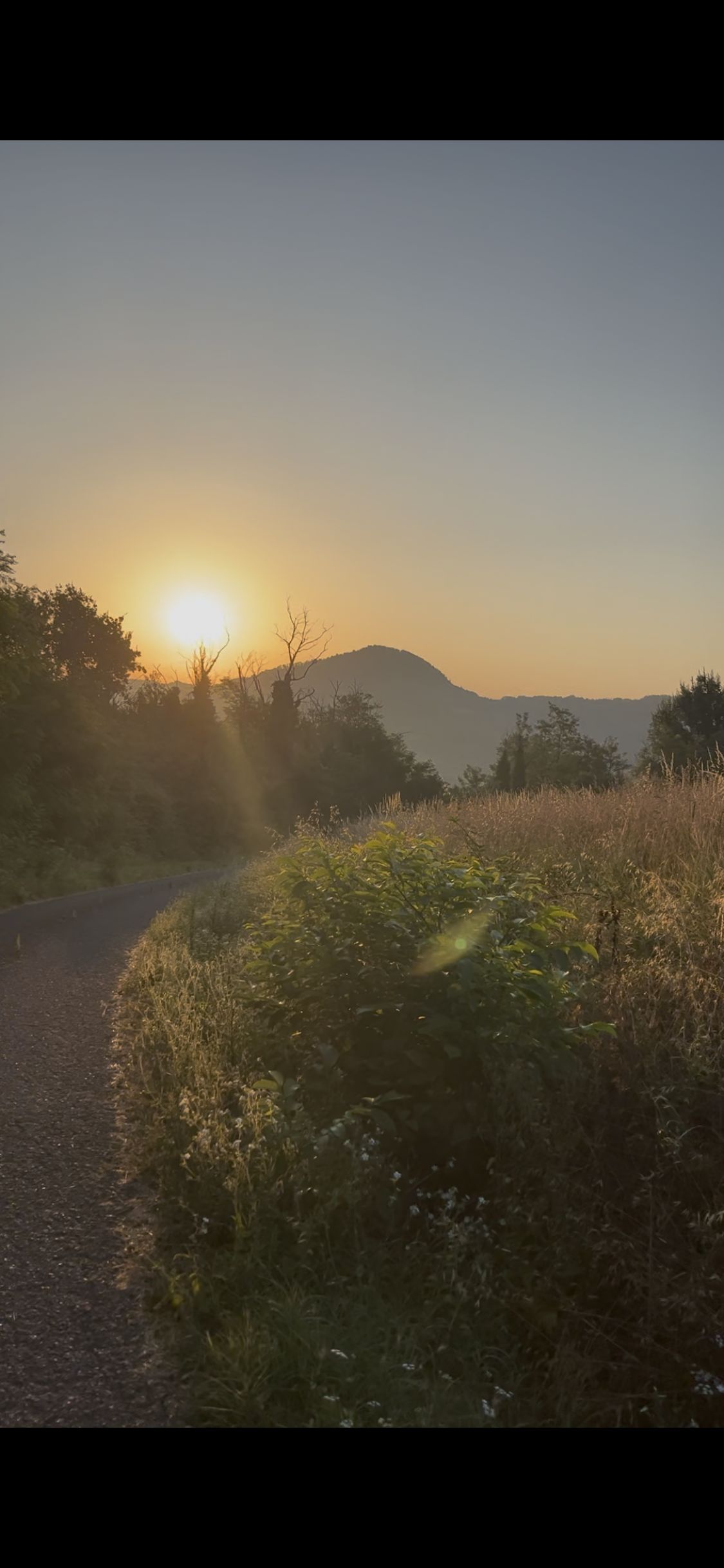 view on the rolling hills at retreat center.PNG
