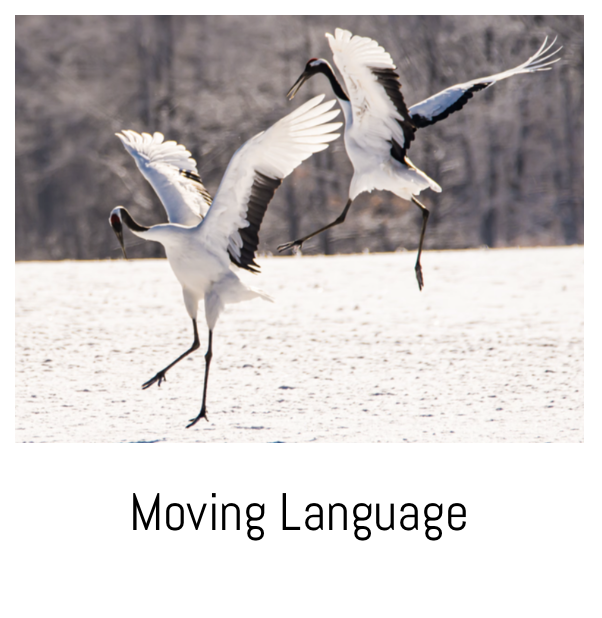 Language and reality retreat in Italy.png