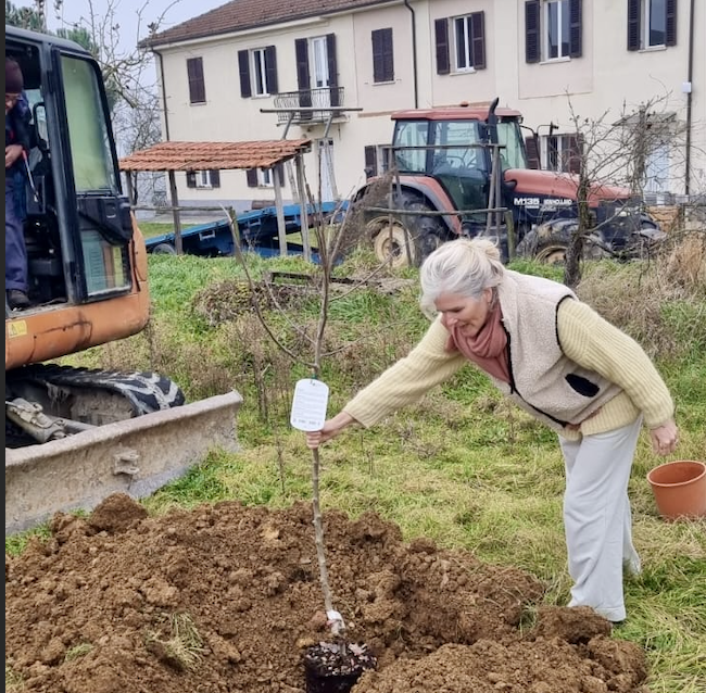 First fruit tree has been planted!