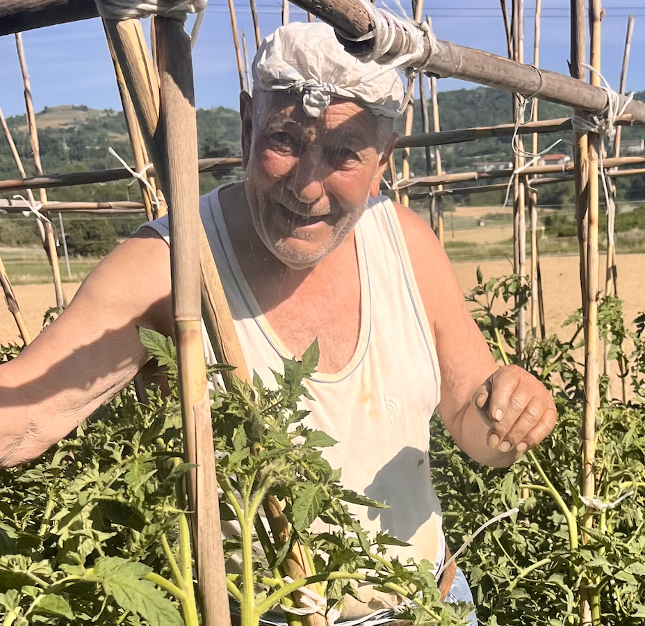 Our neighbour Ugenio and his garden