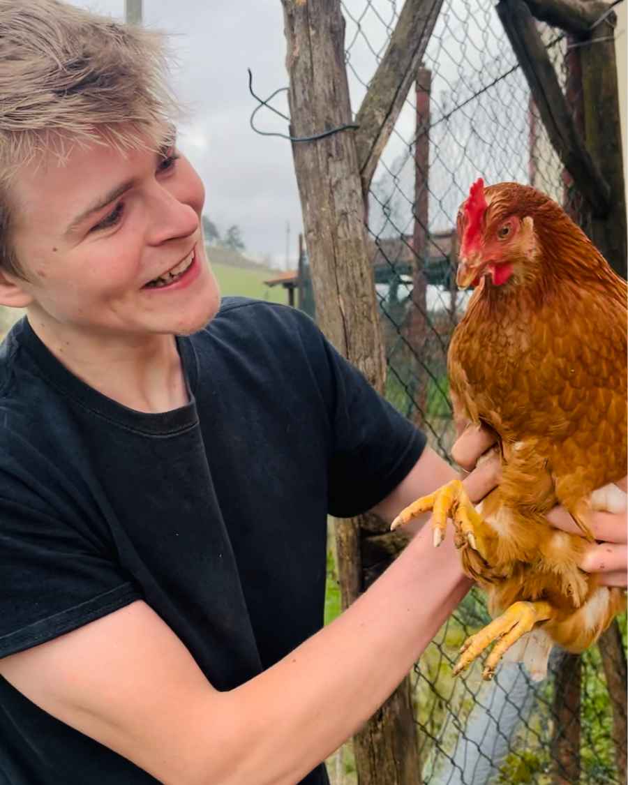 Chickens at conscious community Amiglia, Piemonte