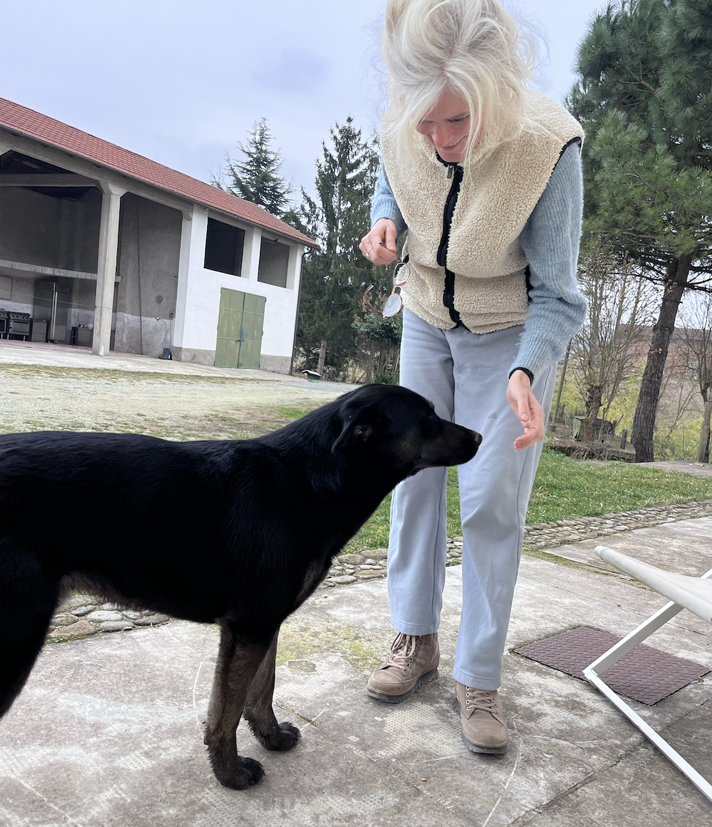 And then a dog came by