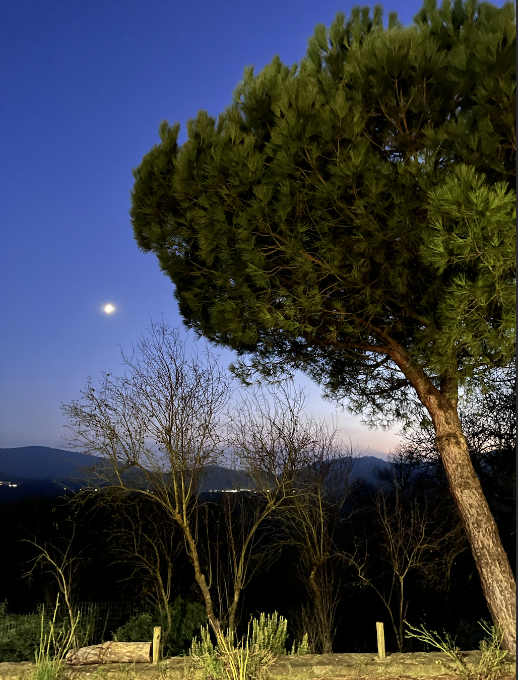 View from Amiglia at night fall