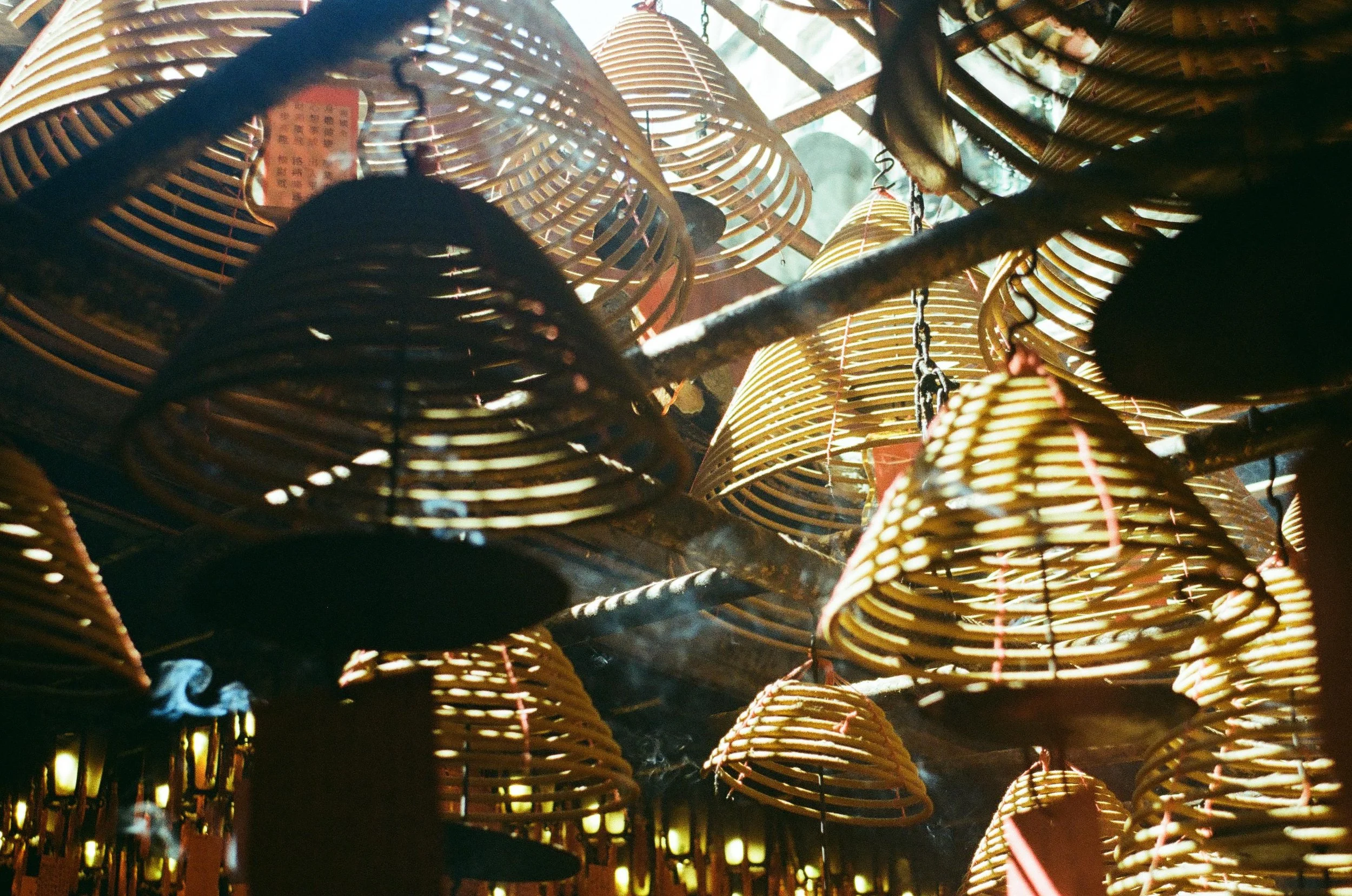 Numerous bamboo wind chimes hanging from a ceiling, with sunlight filtering through their slats, creating a warm glow.