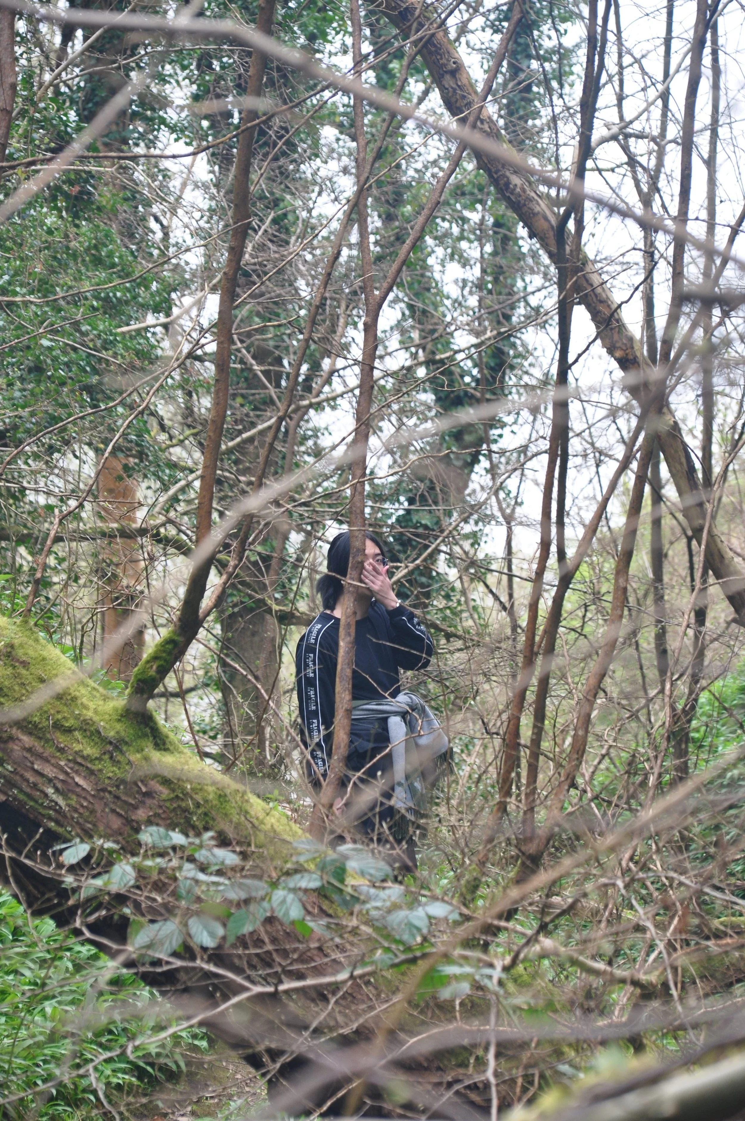 A woman standing among trees and branches in a forest, covering her mouth with her hand.