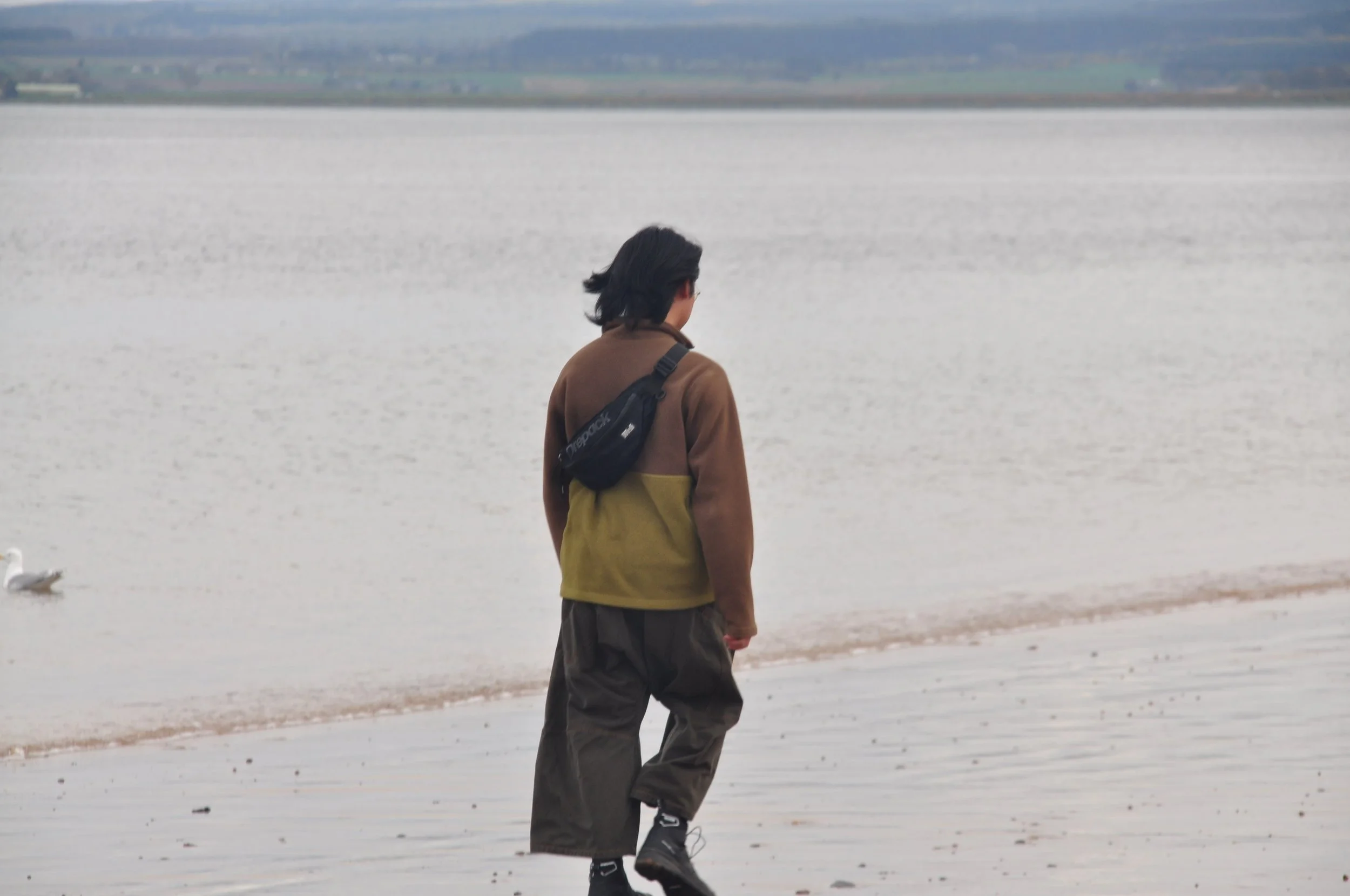 A person with dark hair wearing a brown and yellow jacket, baggy brown pants, and black shoes standing on the shoreline by a body of water, with a seagull in the water nearby.