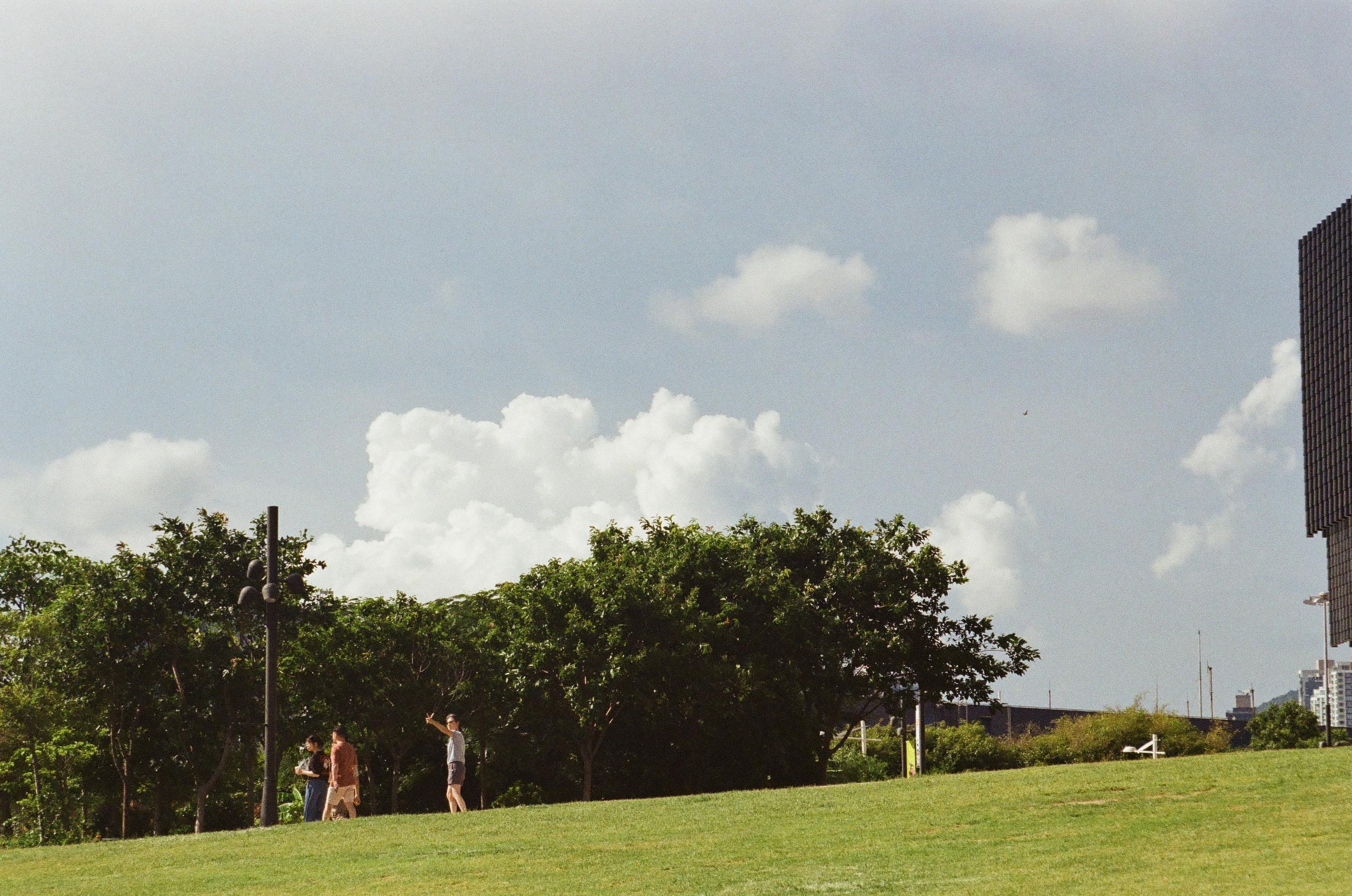 A grassy park with a few people walking and talking, lush green trees, a lamp post, and a bright sky with white clouds.