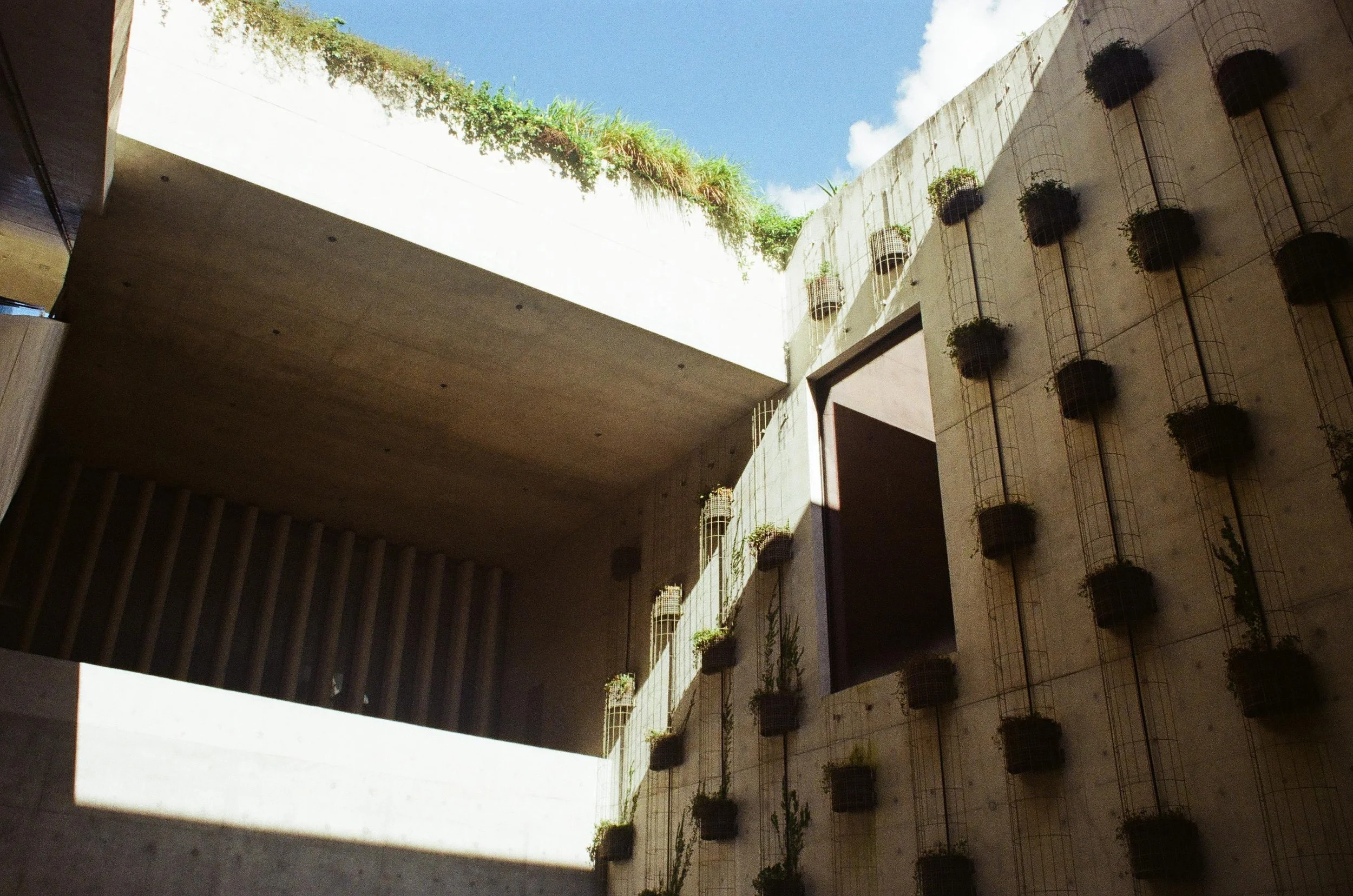 Modern architectural courtyard with potted plants on wire holders attached to concrete walls and a clear blue sky overhead.