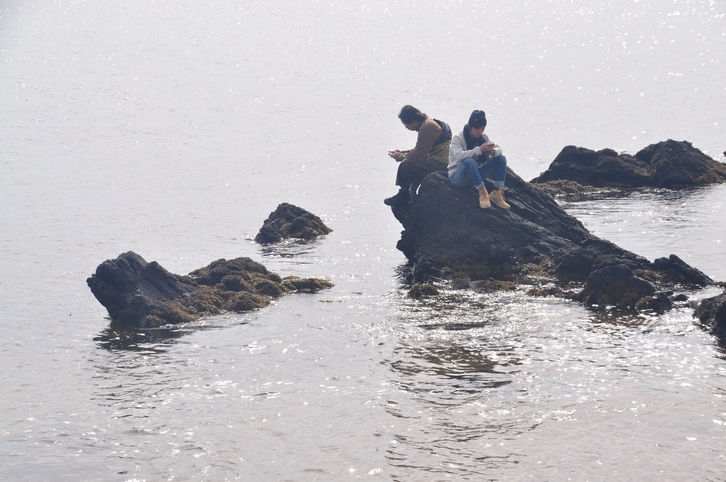Two people sitting on rocks by the water, looking at their phones.