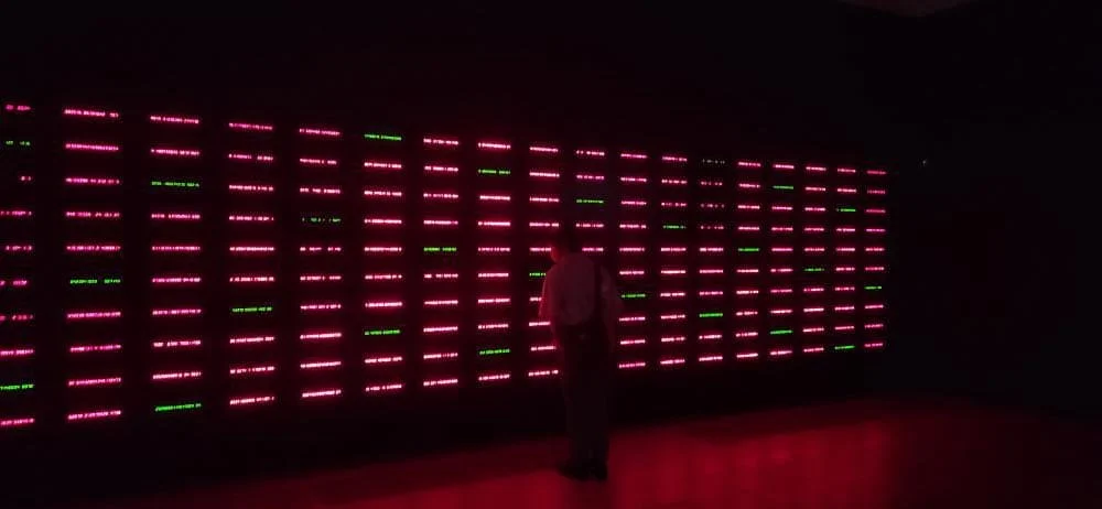 Person standing in front of a wall with pink and green LED light patterns in a dark room.