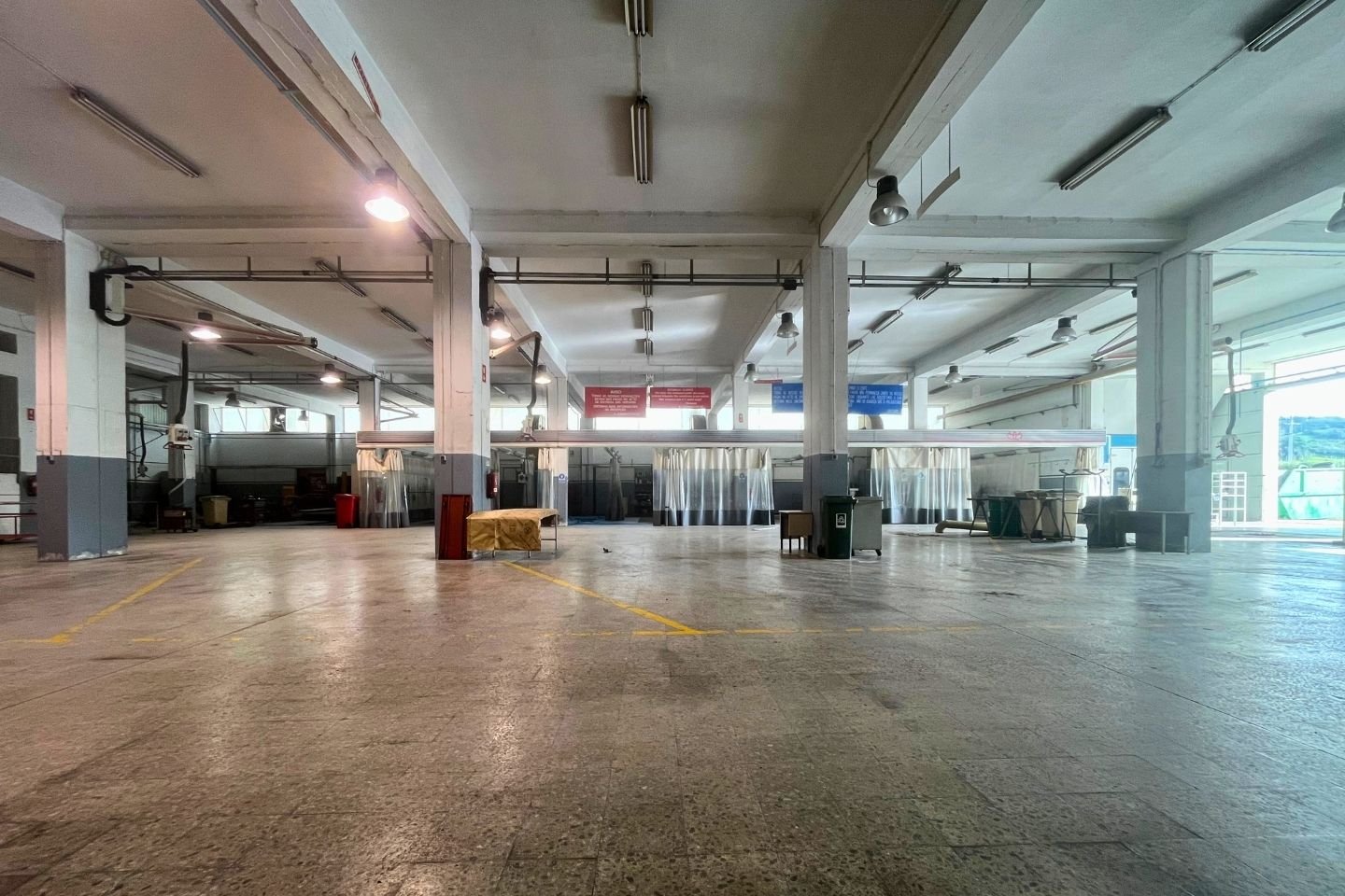 Untitled design (12).jpg