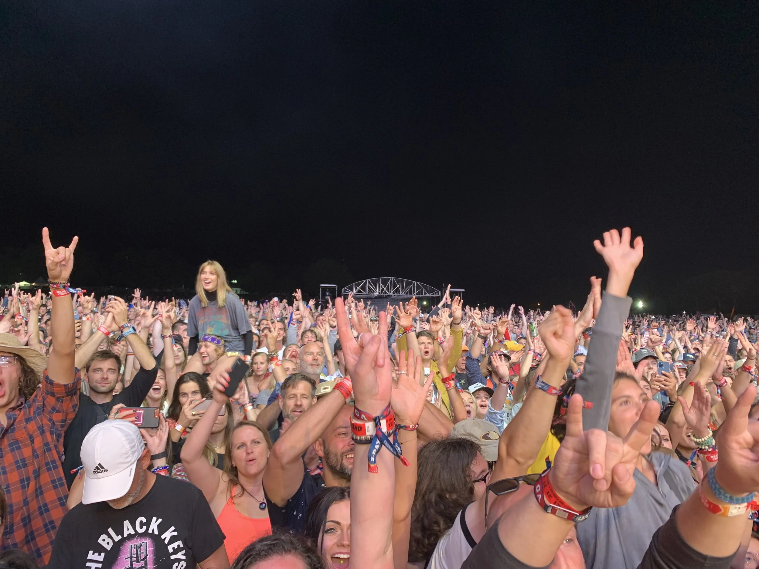 Crowd of people at a nighttime concert, many with hands raised, some making rock and peace signs, some holding phones.