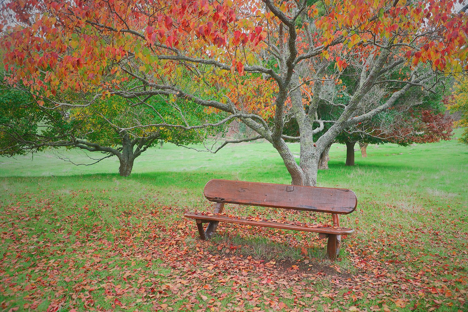 Autumn's Rest.jpg