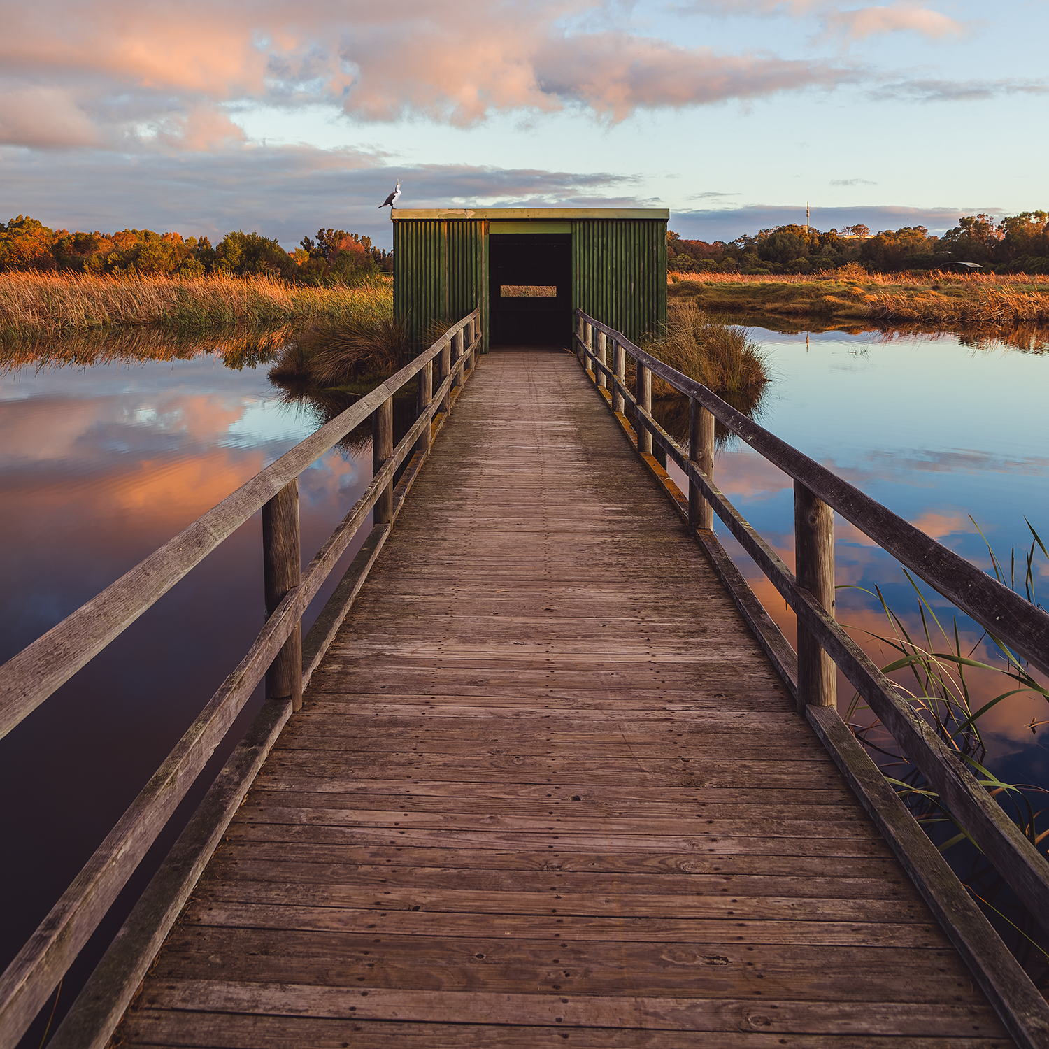Bridge to Stillness.png