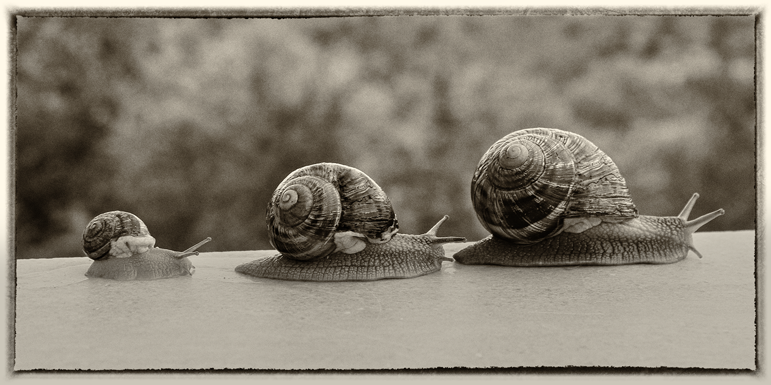 Generations on the Move.png
