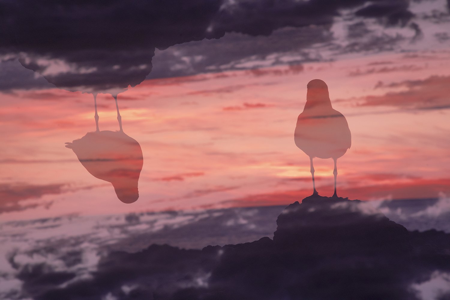 Reflections of Dusk.jpg