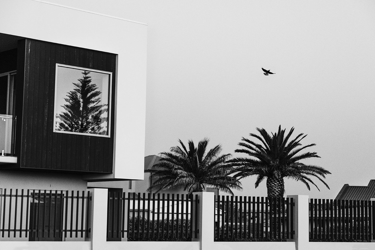 Echoes of Stillness.jpg
