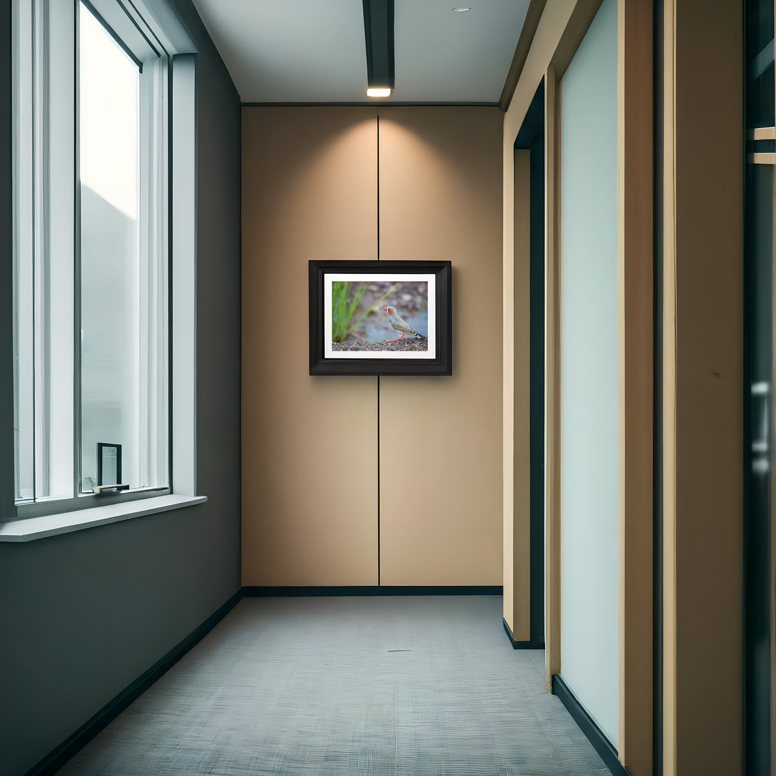 envato-labs-image-edit copy.jpg