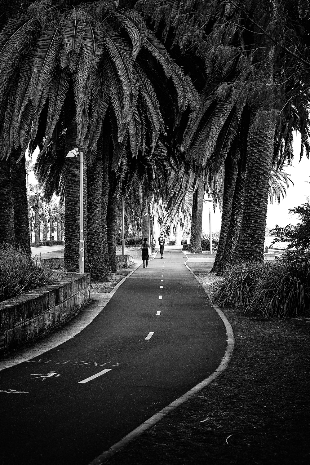The Palm Corridor.png