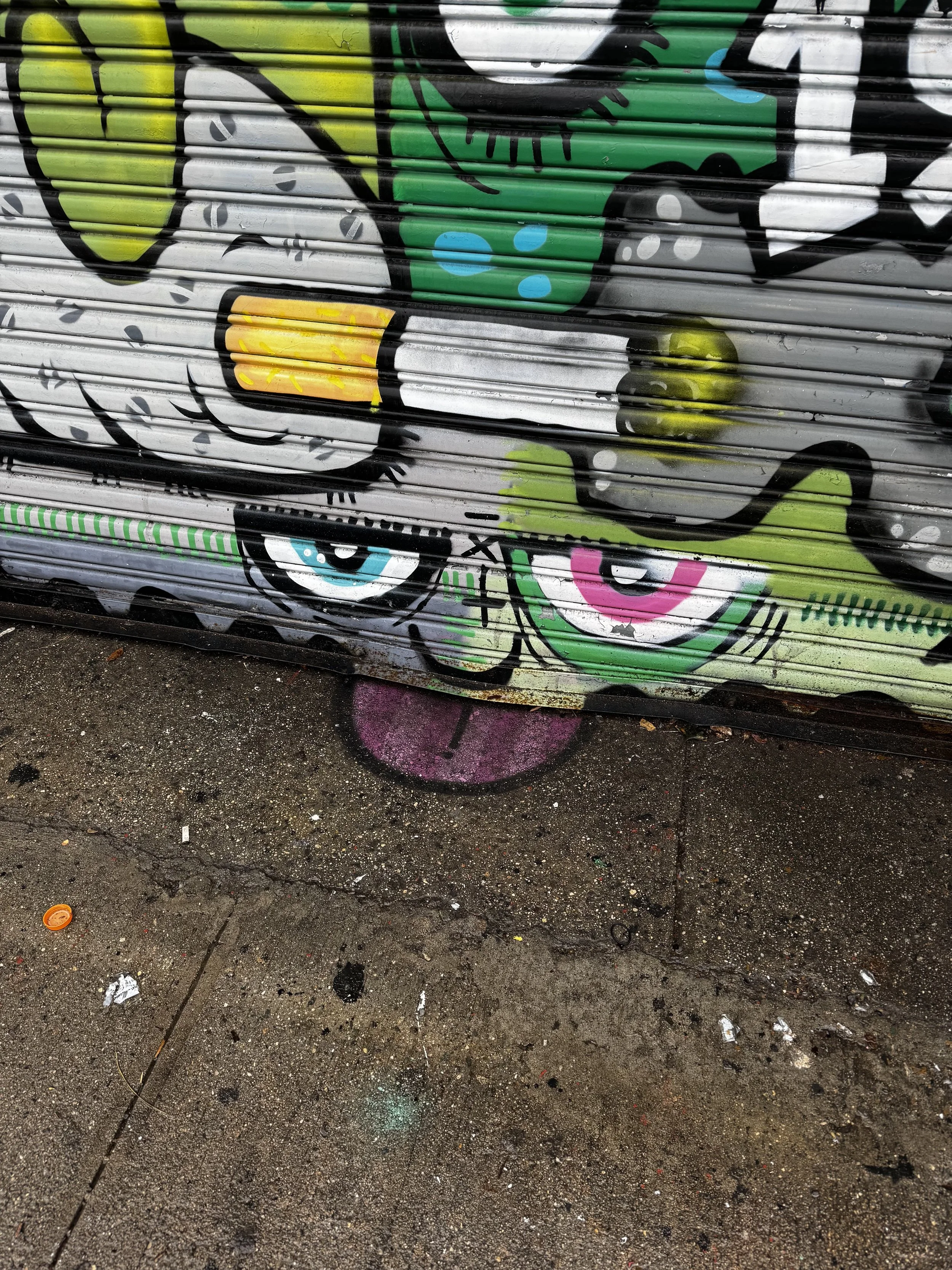 IMG_7667.jpeg
