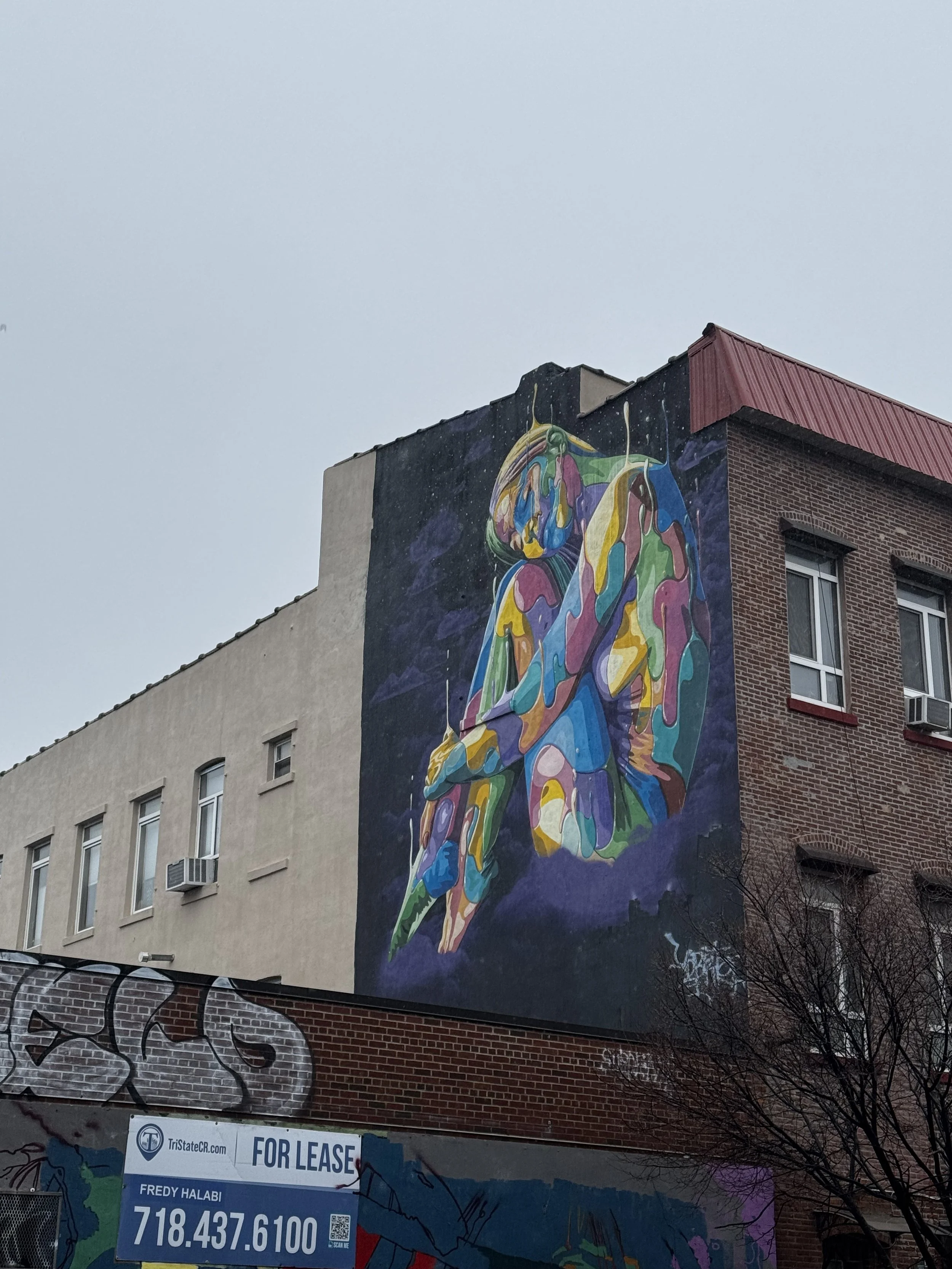 IMG_7682.jpeg