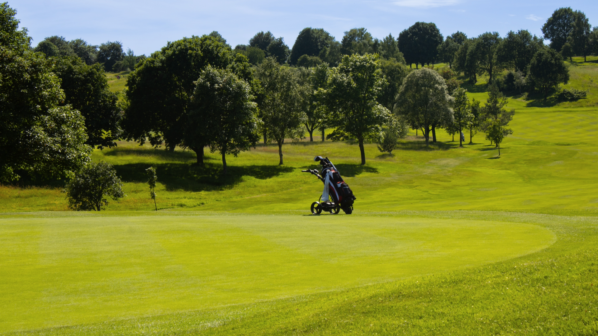 Golf bag on golf course in Stirling