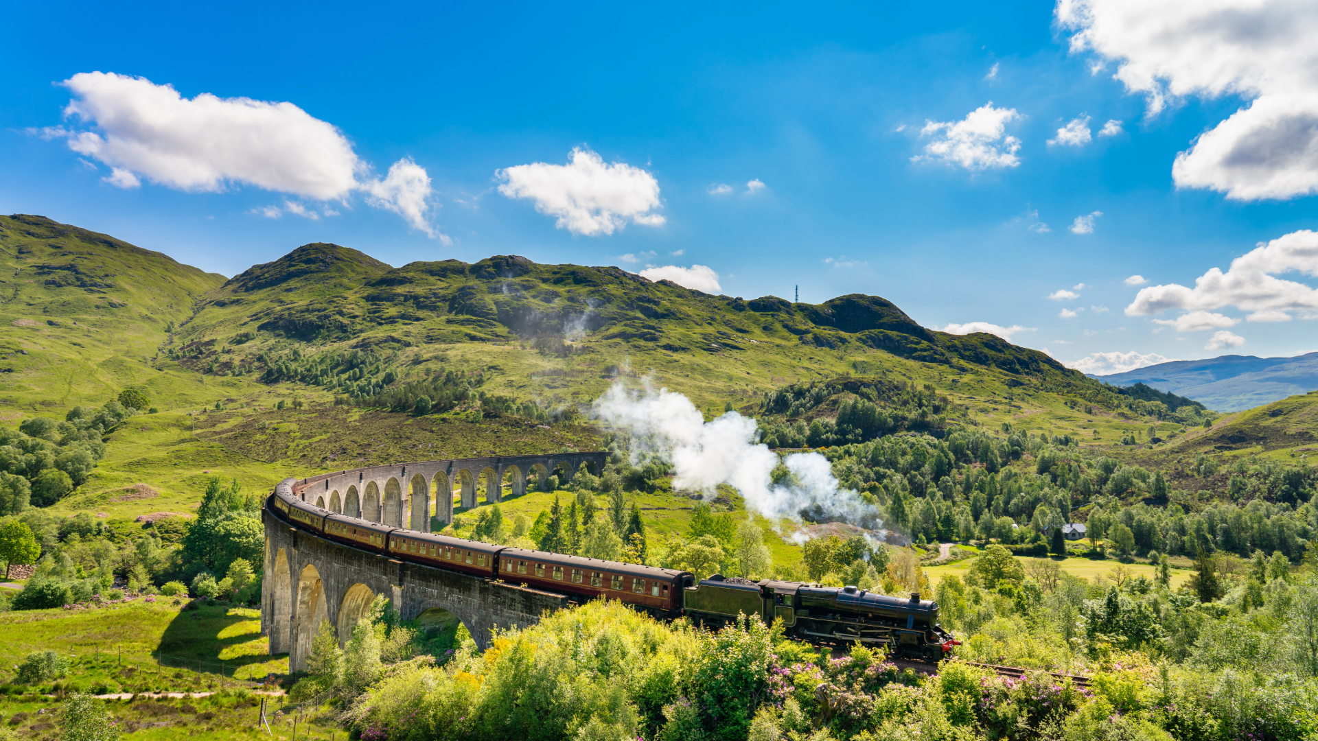 Glenfinnan Bridge with train