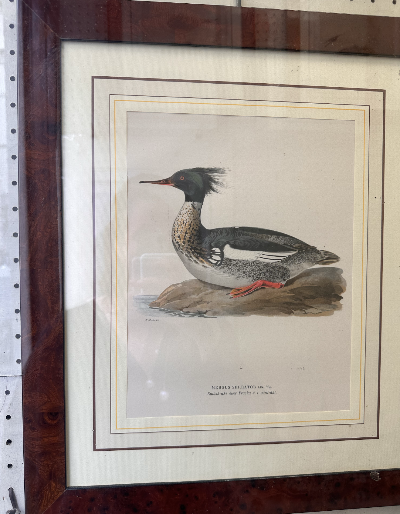 Screenshot 2026-04-10 at 9.31.57 AM.png