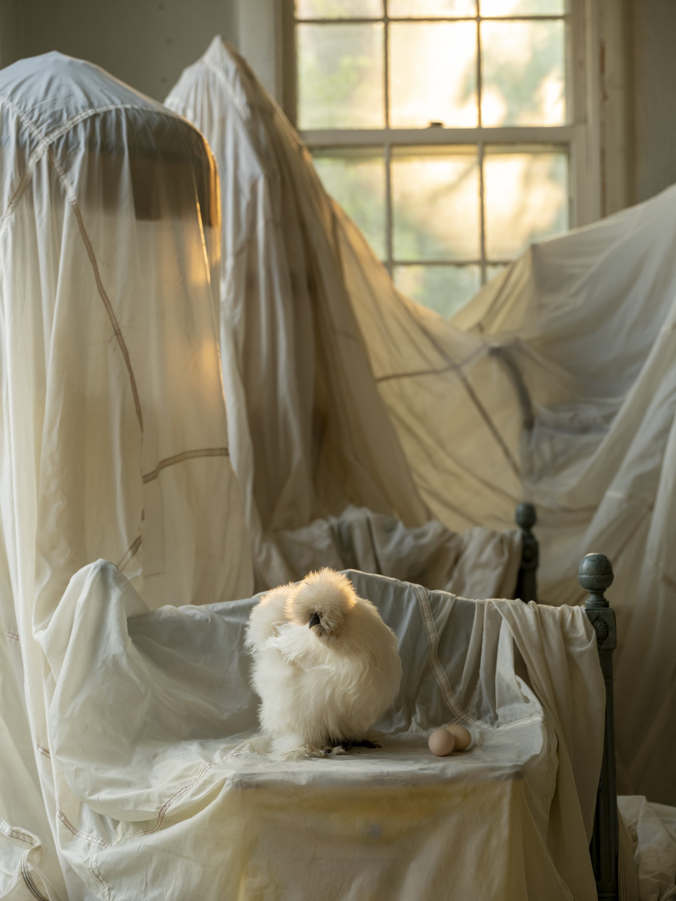 Antique Sale - Web-61.jpg