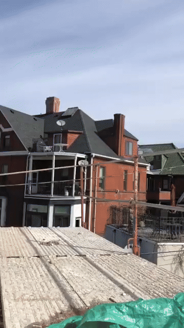 ezgif.com-video-to-gif-converter (1).gif