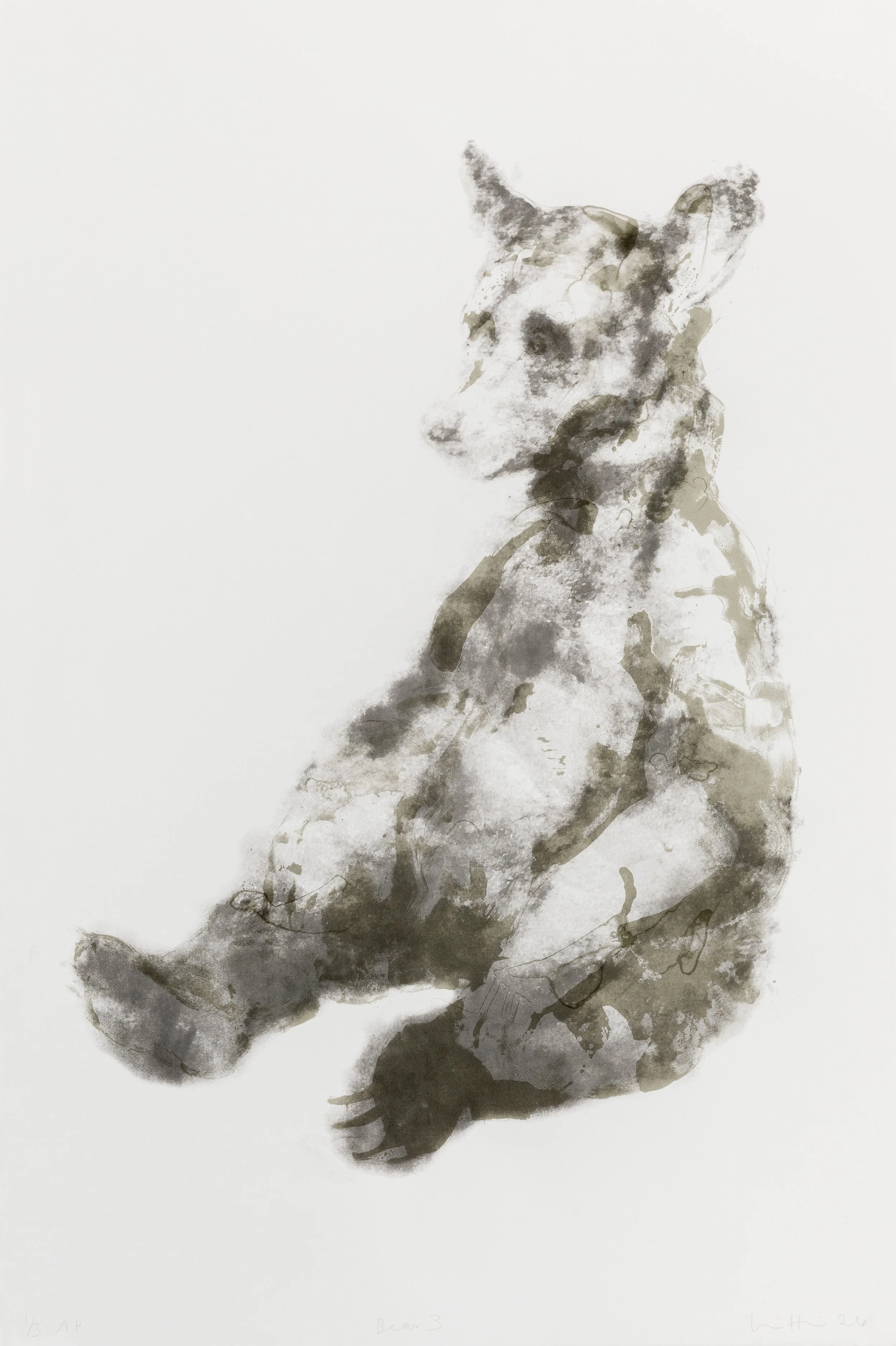 _K4A3845 (Left hand shadow removed).jpg