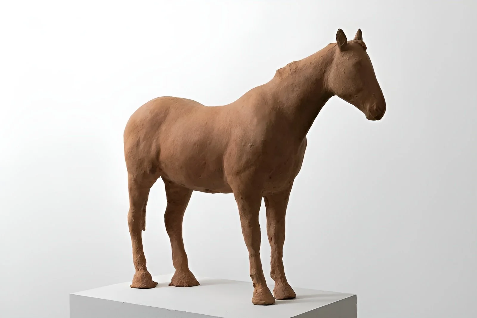 Nicola Hicks Acclaimed British Sculptor Exhibited Worldwide