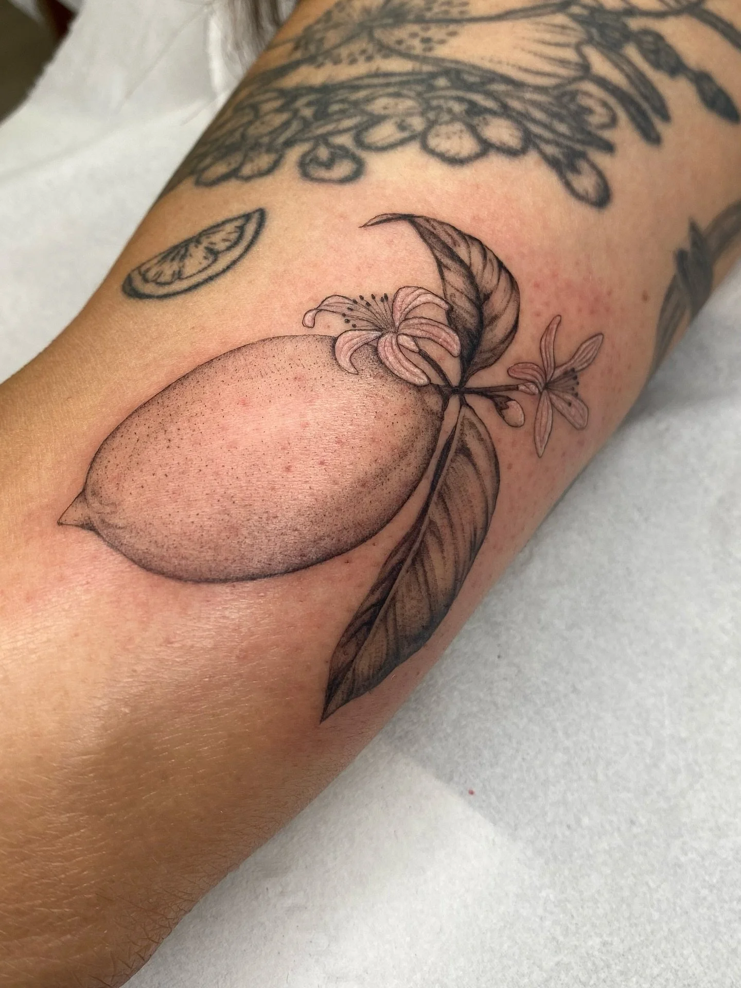 A little lemon from my flash for Vivien, thank you so much it was lovely to see you again 🍋🧡

@tangerinedreamsstudio 

#lemontattoo #botanicaltattoos #naturetattoo #vintageillustration #vintagebotanical #londontattoostudio #londontattooartist