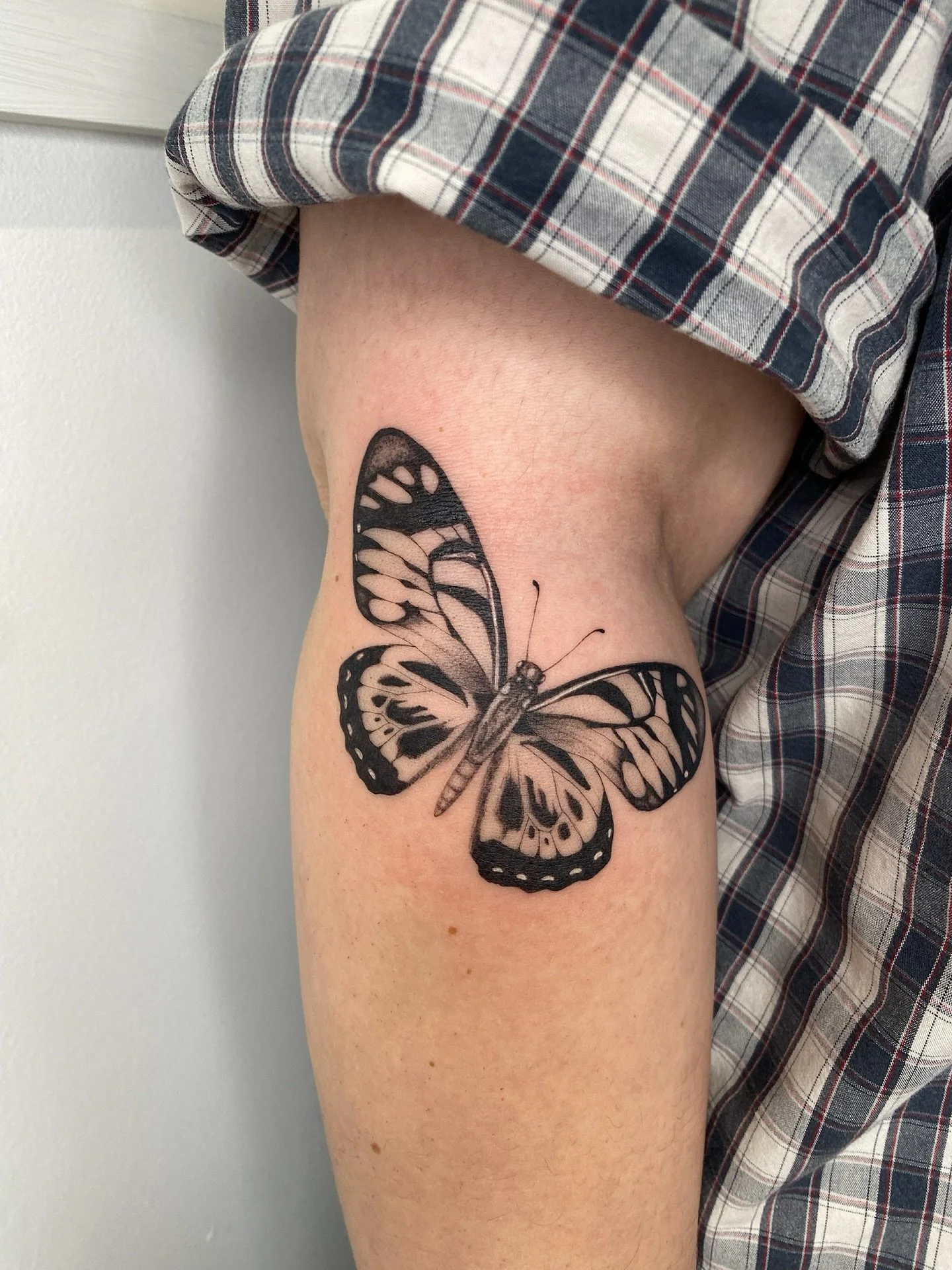 For Jess, thank you so much! ♡
Made at @tangerinedreamsstudio 

#butterflytattoos #butterflytattoo #londontattooartist #londontattoostudio #finelinetattoo #finelinetattooartist #blackworktattoos
