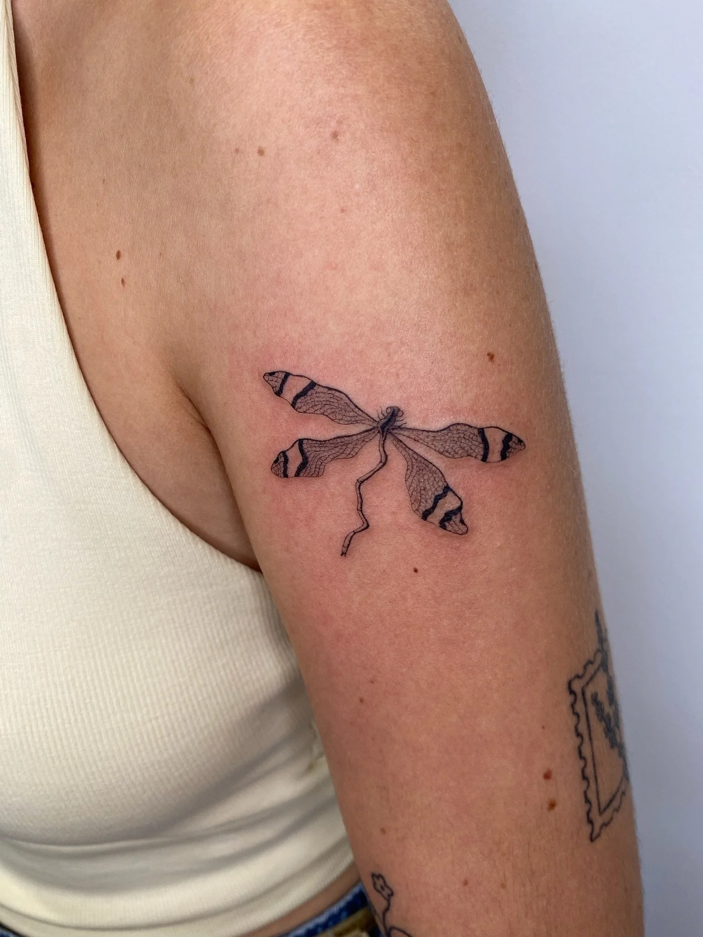 For Louisa, thank you so much! ♡
@tangerinedreamsstudio 

#tattoolondon #femaletattooer #dragonflytattoo #finelinetattoo #contemporarytattooing