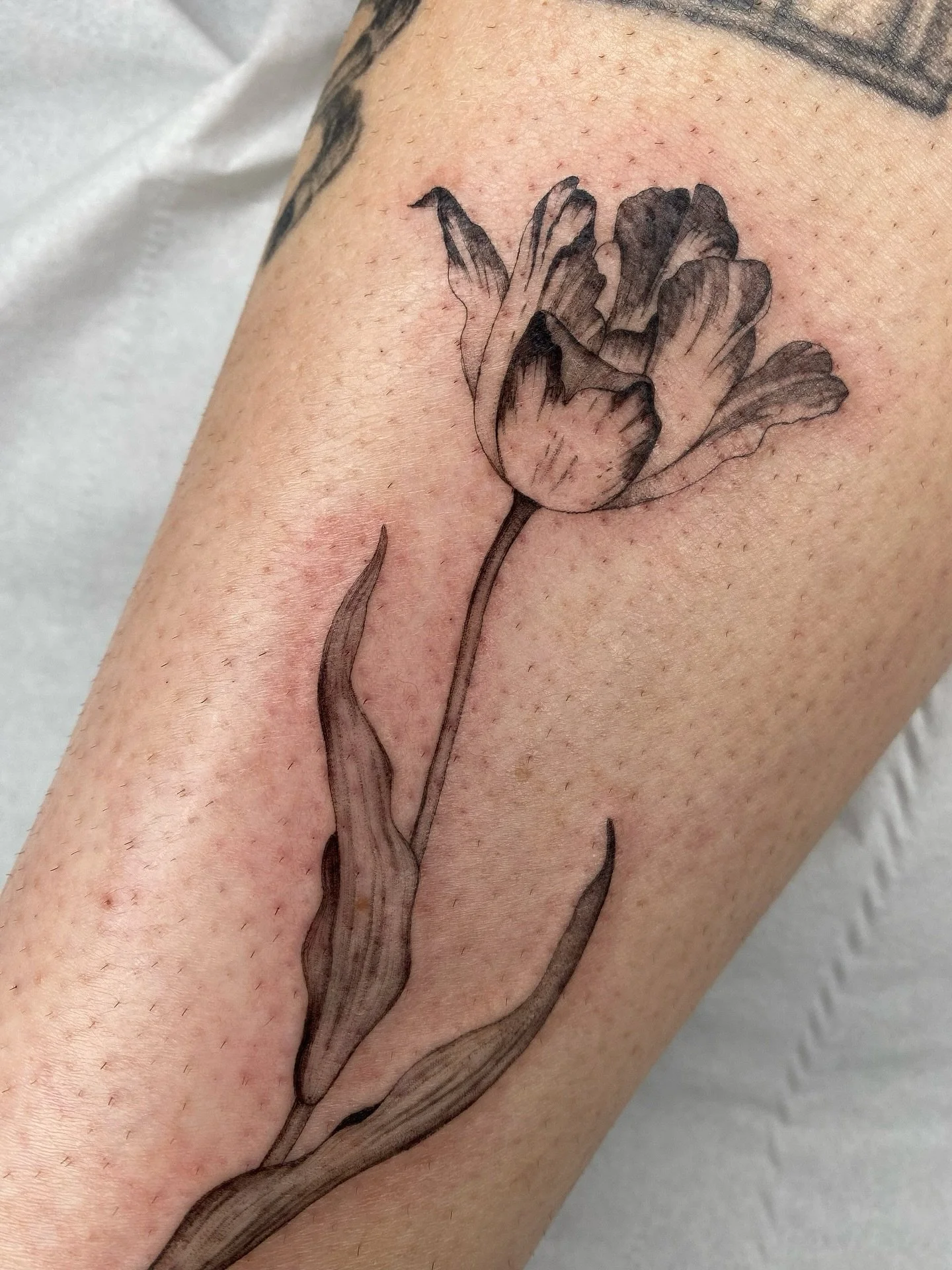 Thank you so much Is 𓇢𓆸
Made at @tangerinedreamsstudio 

#tulip #tuliptattoo #tulipes #floraltattoo #botanicaltattoos #flowertattoos #londontattooartist #londontattoostudio #singleneedle #singleneedletattoo #finelinetattooartist